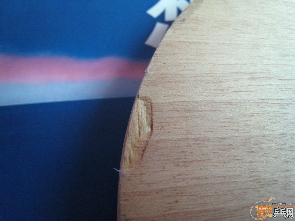 ֧YEᣬ110
