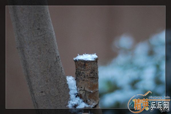 ���ϲ������Ӱ����Ū������Ƭ����ҿ���