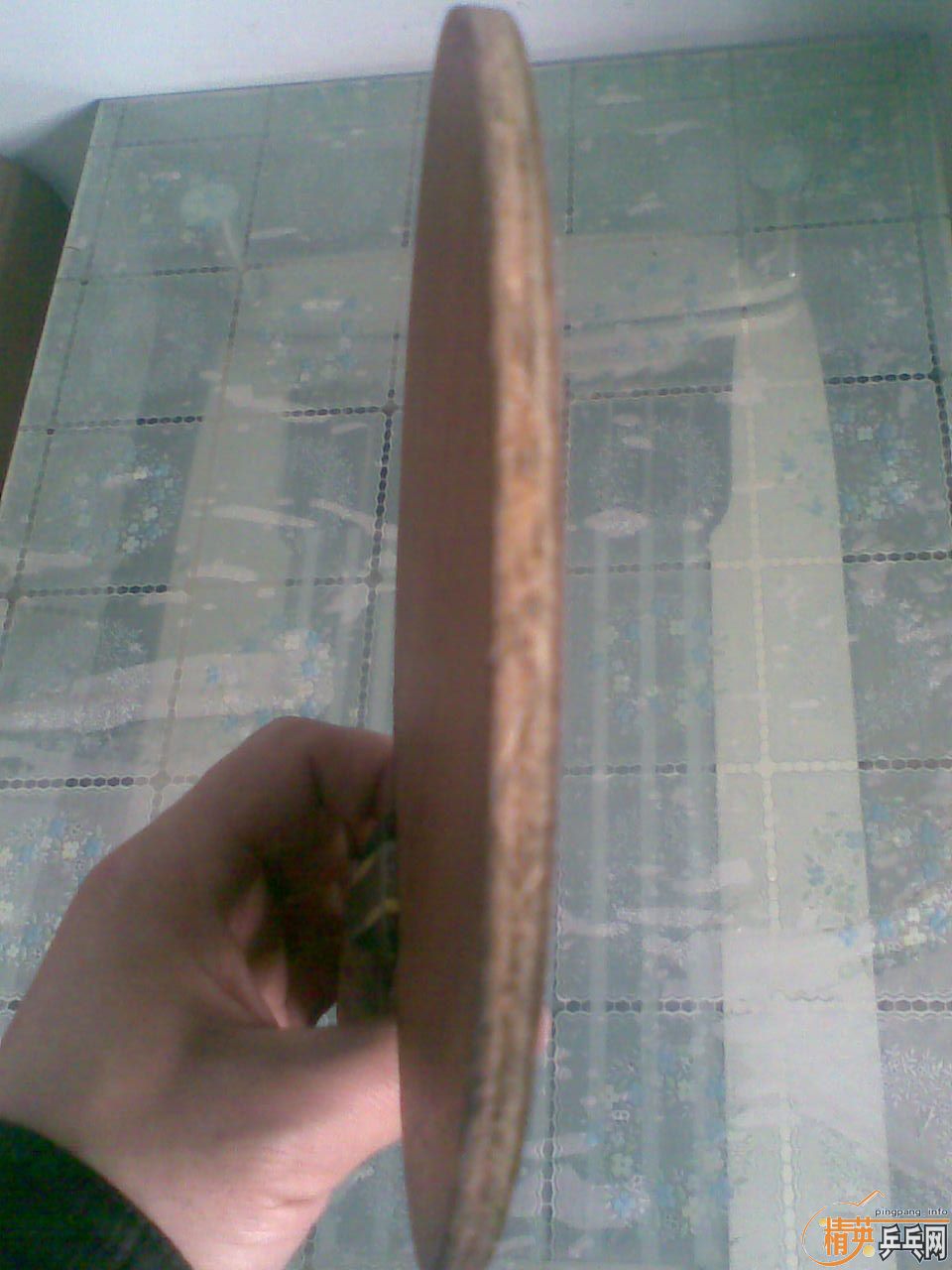 һֻYDM17����������