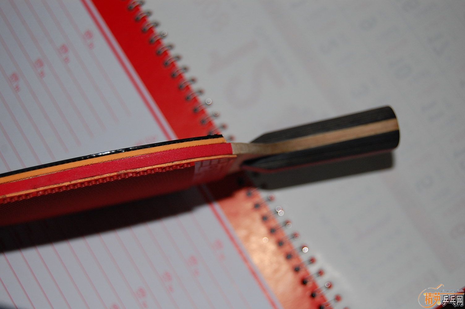 ת��С����798Ԫ