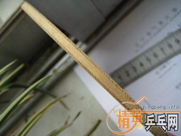 ��Nittaku��FL��MANCHESTER300�����