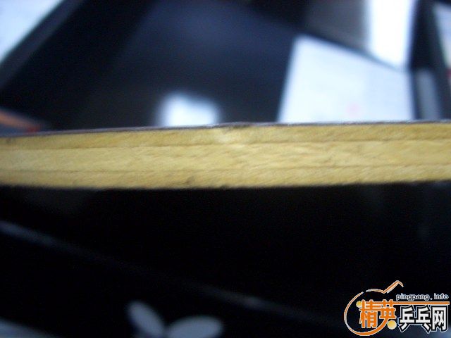 �����µ�ˮ��plus��260Ԫ���������ʣ�