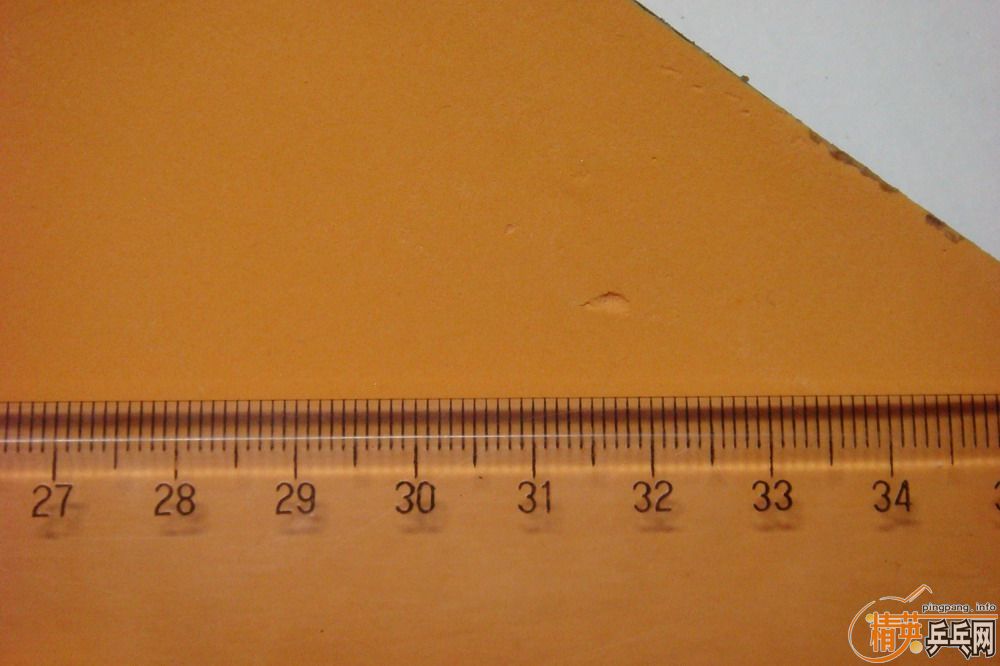 �ײ˼����׽���EL�����Ź�180����