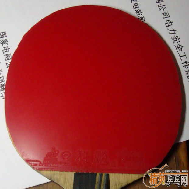 �ײ˼����׽���EL�����Ź�180����