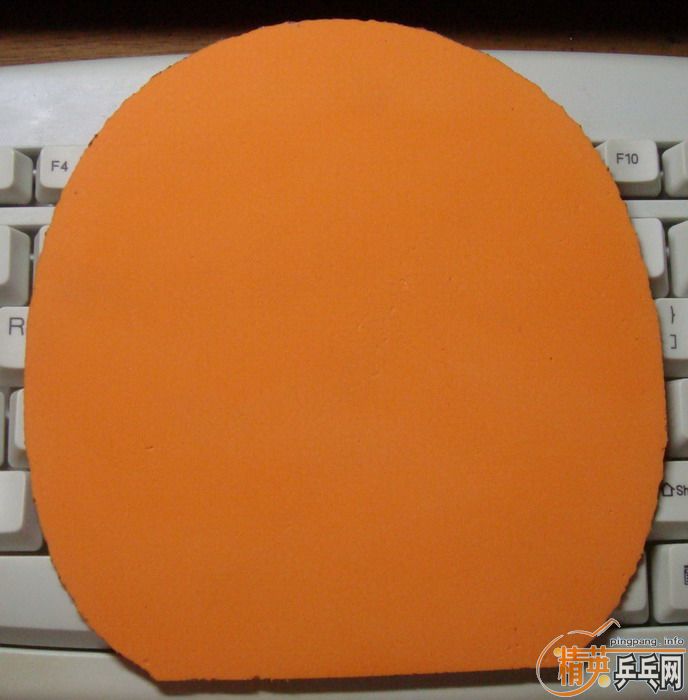 �ײ˼����׽���EL�����Ź�180����