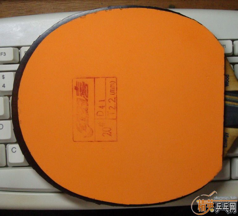 �ײ˼����׽���EL�����Ź�180����