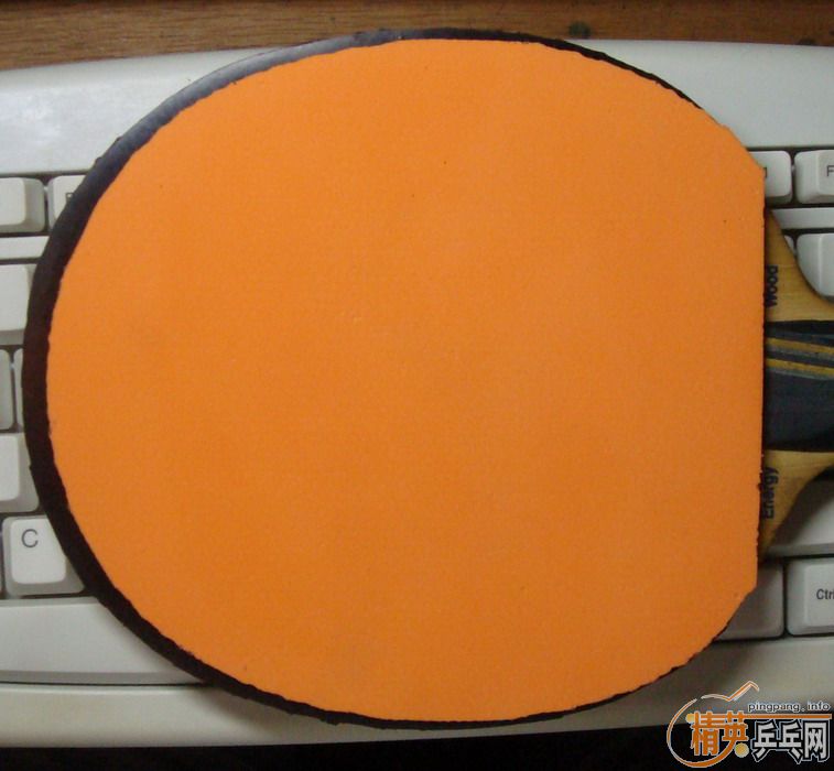 �ײ˼����׽���EL�����Ź�180����