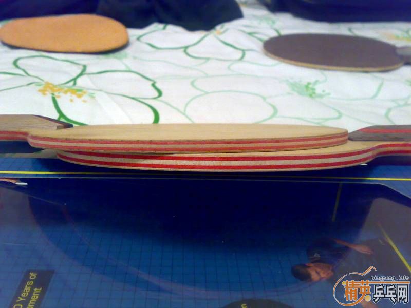 �����հ�cl 600��רҵ��5.4 500�����carrera fl 350