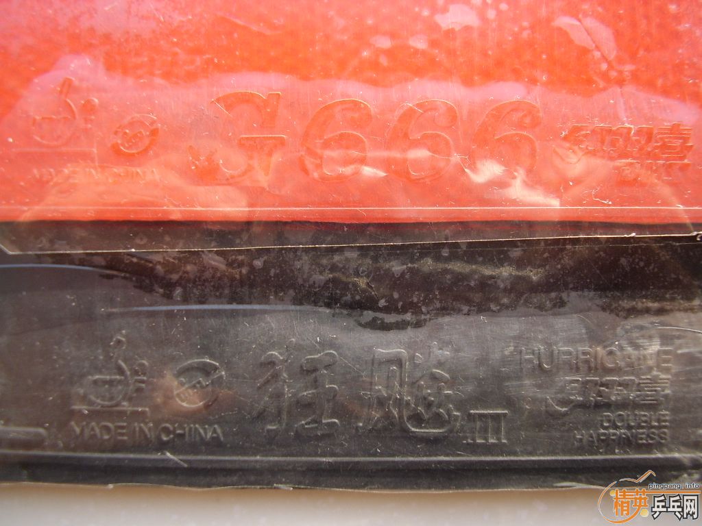 EGֱ��+�׽� �����