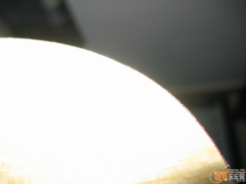 ֱ麣ocboll