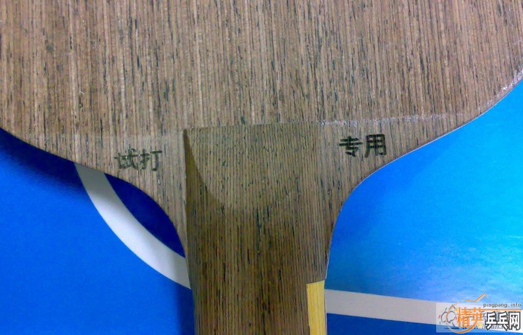 SWORD WST80 FL����119����ݳ�