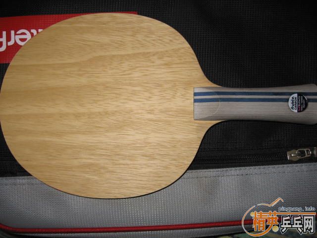 �����˼��ε�9.5���հ�÷�� FL  550 ����