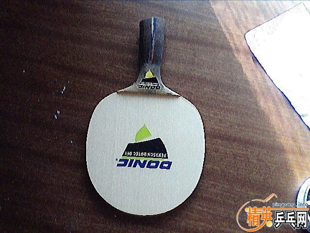 250���DONIC�������ɭ