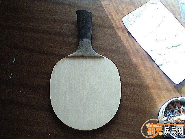 250���DONIC�������ɭ