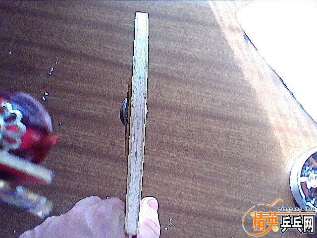 250���DONIC�������ɭ