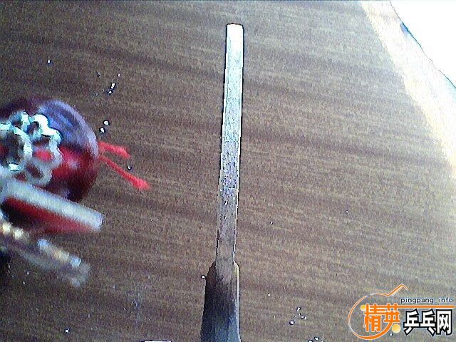 250���DONIC�������ɭ