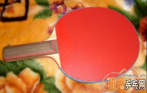 CL�װ�.����F1����TSP������