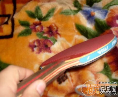 CL�װ�.����F1����TSP������