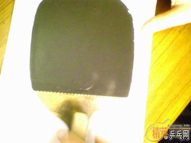 ��NITTAKU����ѡA,���,YASAKA MV,800Ԫ��EMS!!