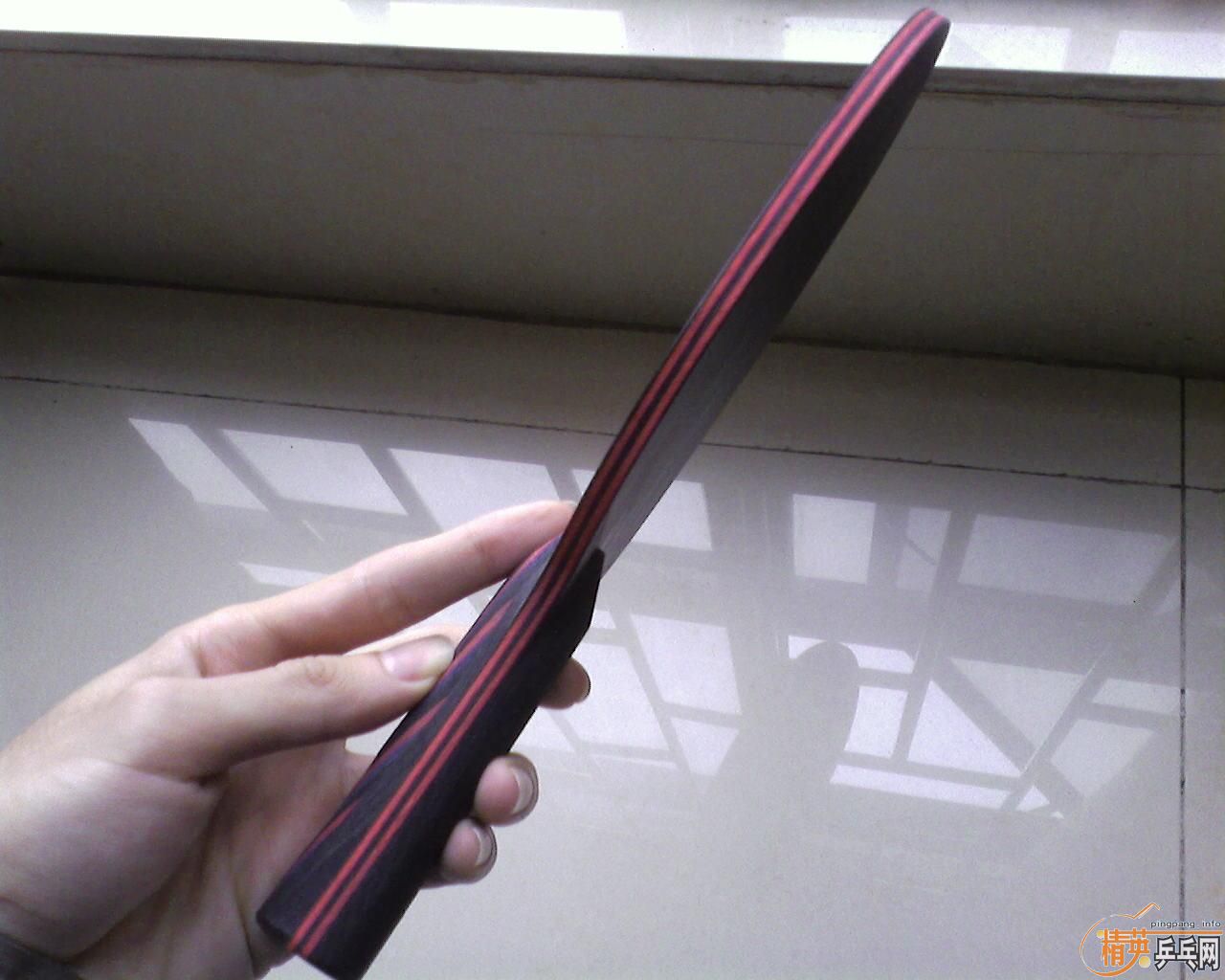 9.5������̼��