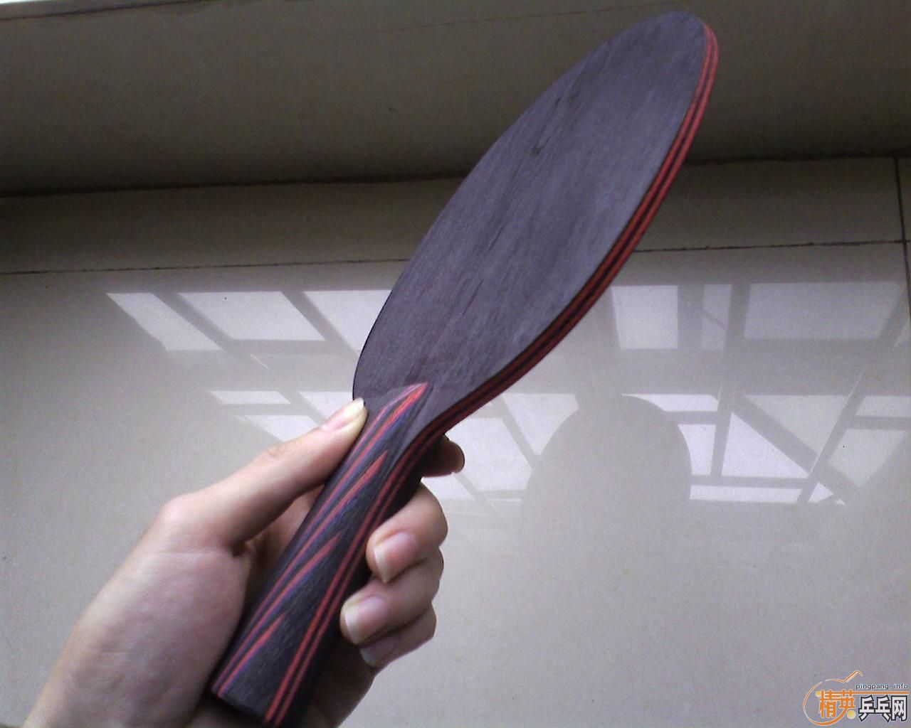 9.5������̼��