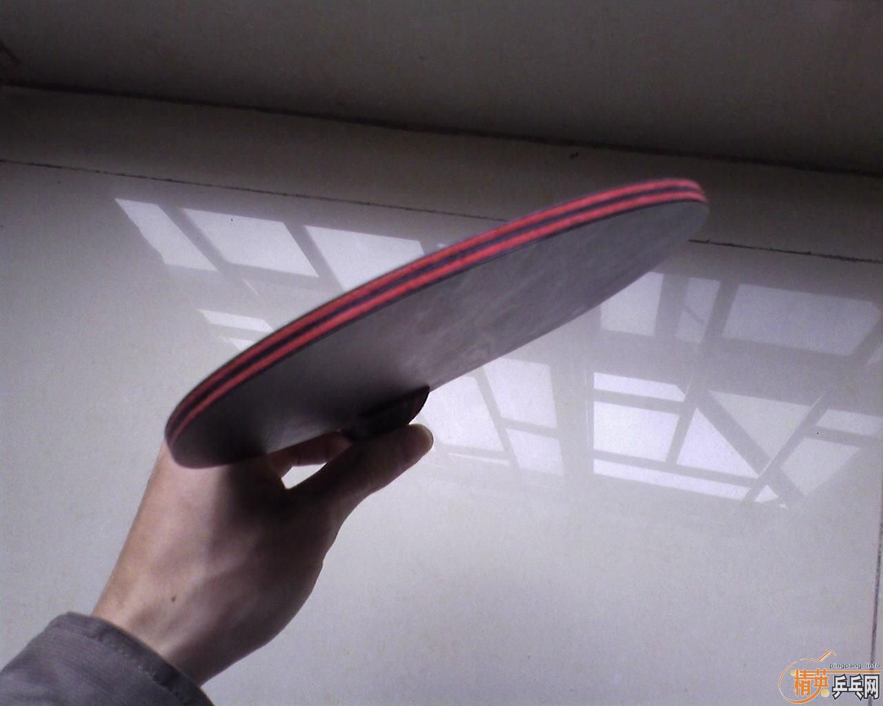 9.5������̼��