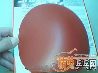 ���˳���Ƭֻ����30���ӵĺ���EL������(�װ��ѳ���