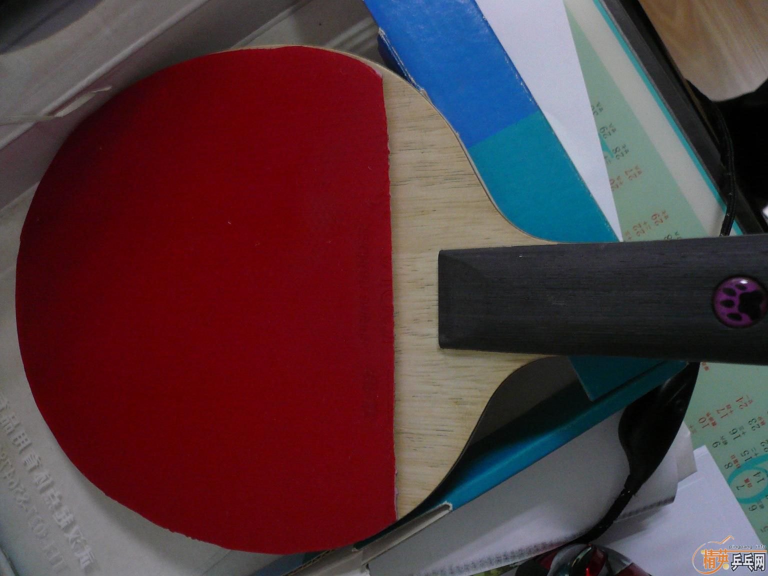 ��������VISCARIA-FL\JOOLA-CAT��С����ֱ����