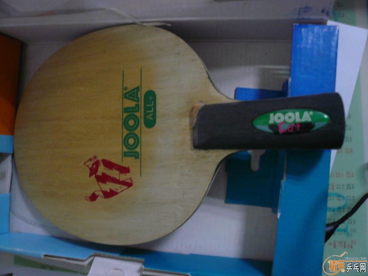 ��������VISCARIA-FL\JOOLA-CAT��С����ֱ����