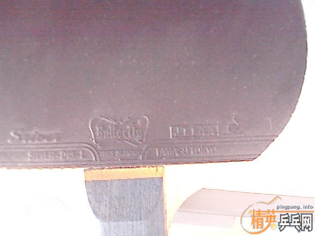 ׼תֻ壨maze,boll)+ƤԼǺ