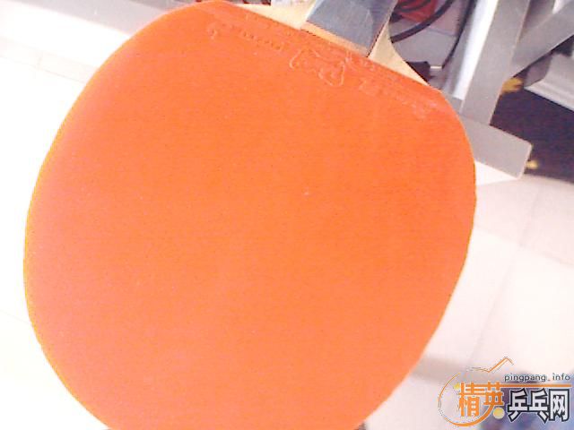 ׼תֻ壨maze,boll)+ƤԼǺ