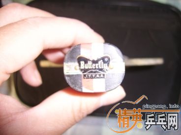 ��һֻ������һ������˫�����׹�420����.