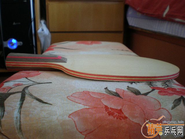 ��һֻŷ��˹�ٿ�ֱCL����Ҳ�С�