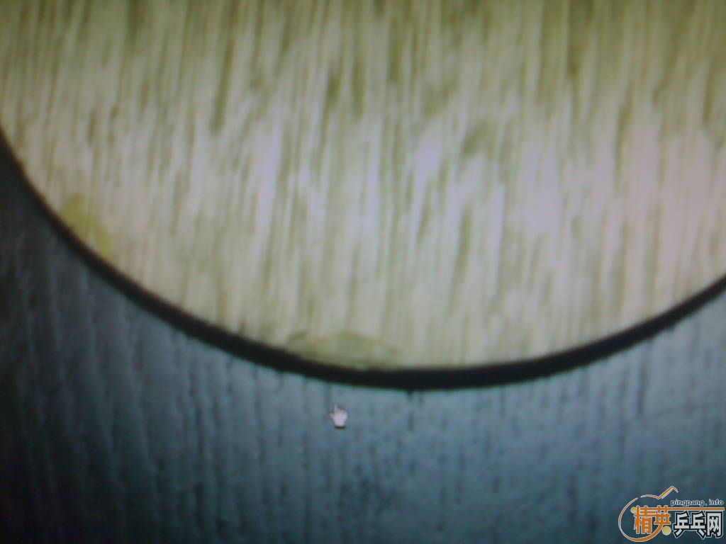 ������ֱ�壺300Ԫ����