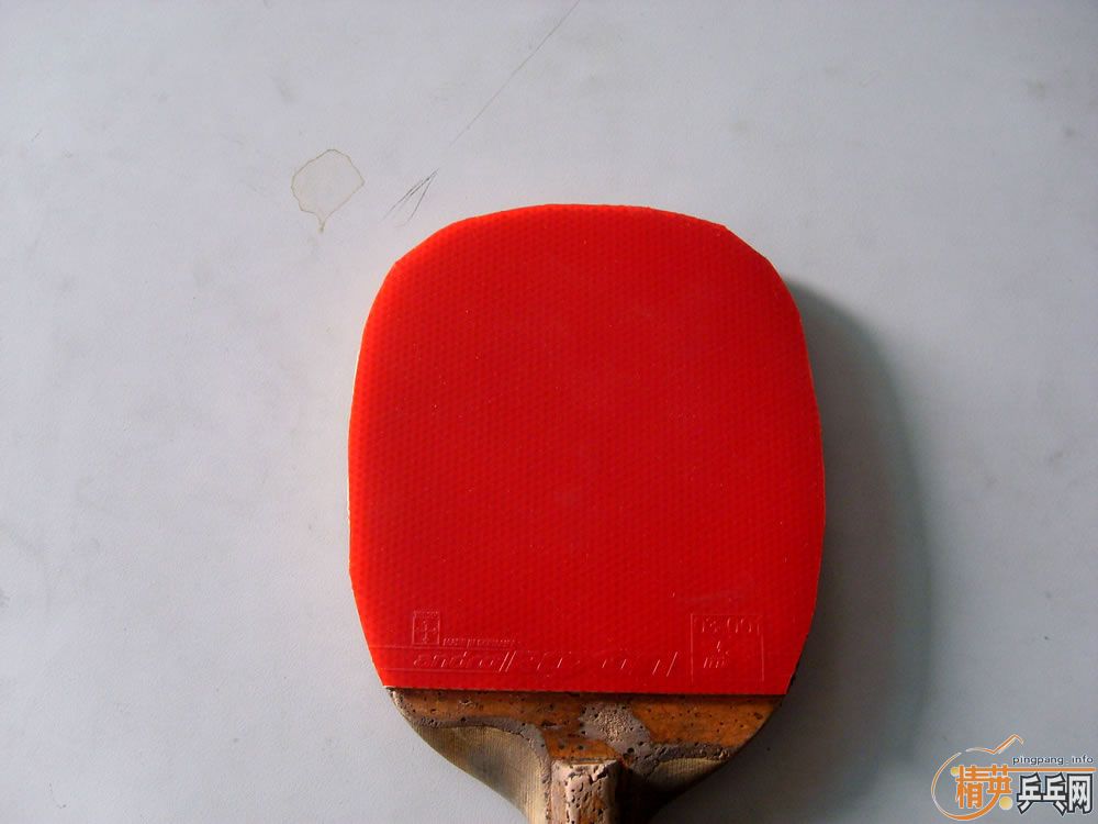ROXON 500 proֱ׽ ֻСʱ