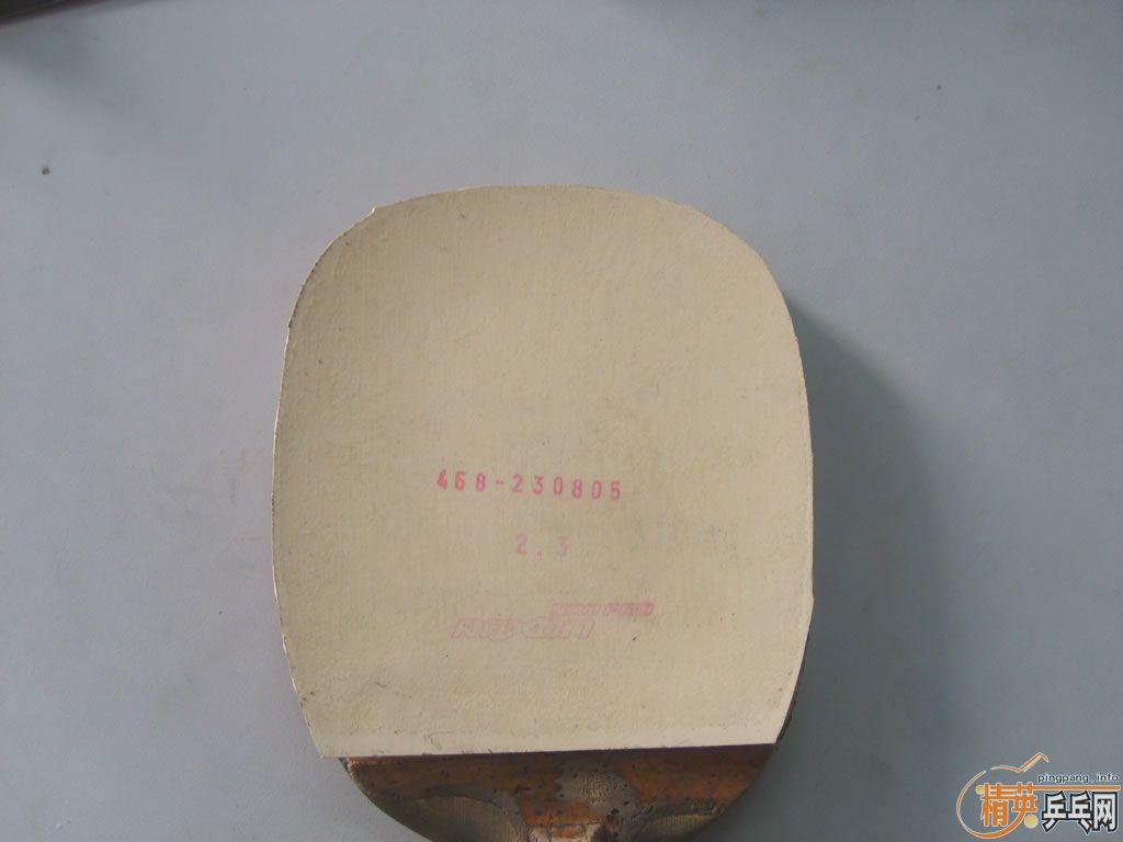 ROXON 500 proֱ׽ ֻСʱ