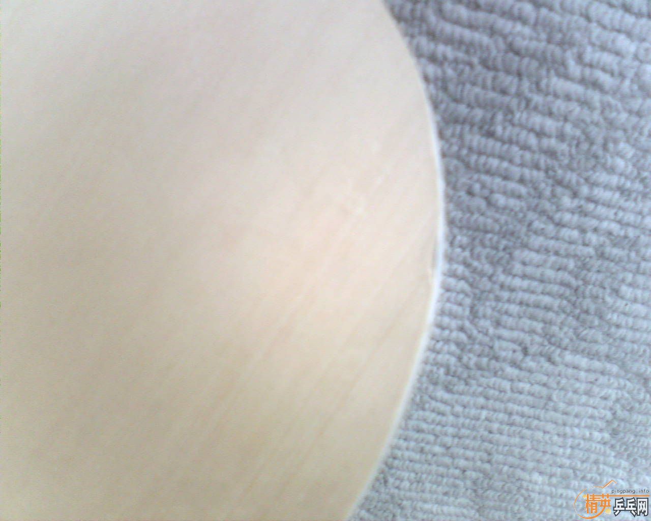 ����t--2����