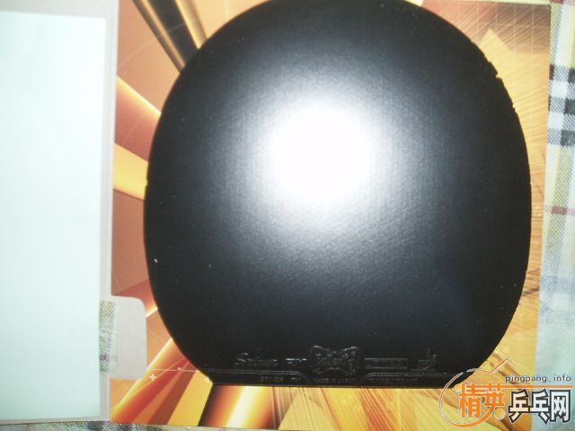 �����Ľ��۲�Ҫ���Լ�����)��08�������켫3��