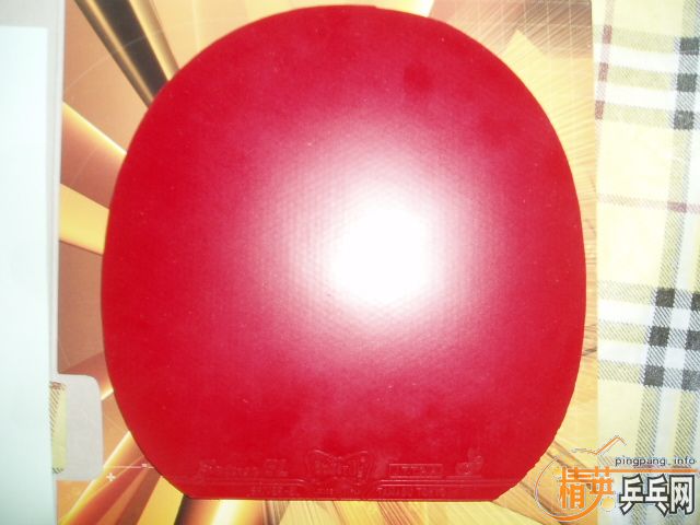 �����Ľ��۲�Ҫ���Լ�����)��08�������켫3��