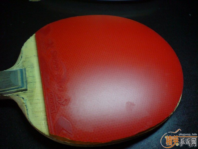 �����µ·º�����������100���졣