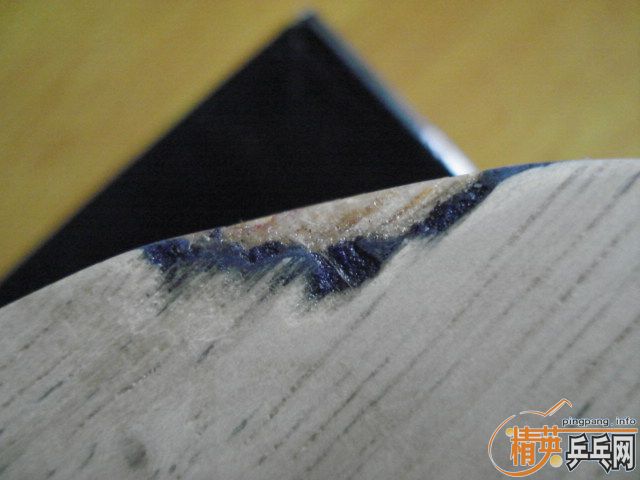 �ٷ��������ѳ���ʤ�л�˹�ٿ�eg���