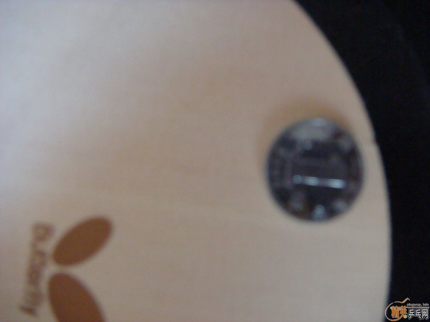 [ԭ��]�������� Amultart  ST