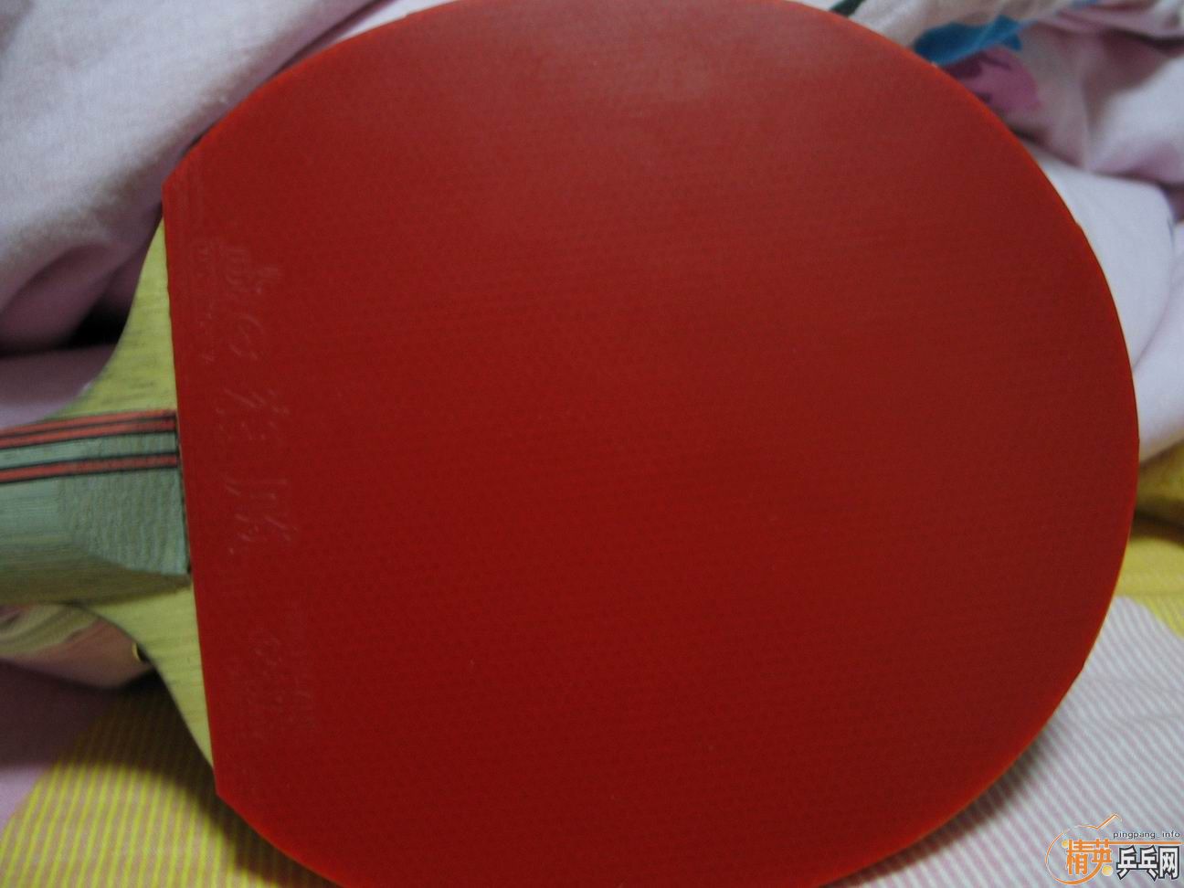 ��9����ͦ��ALPHA_220Ԫ�����