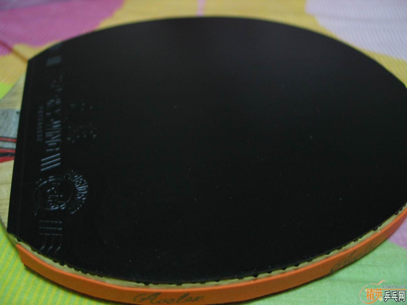 ��9����ͦ��ALPHA_220Ԫ�����