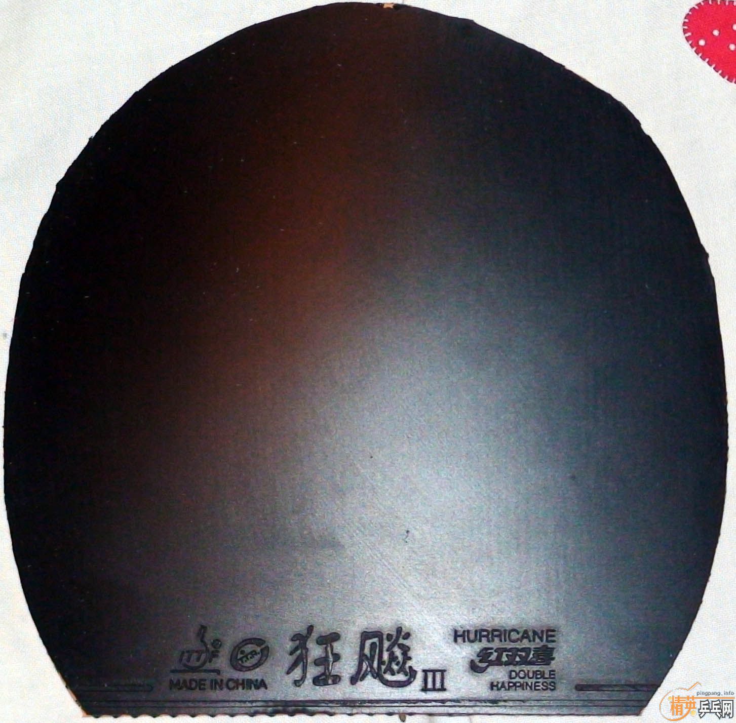 ��ʡ����39�Ⱥ�ɫ��ֱ������ɫ�����40��ʡ����