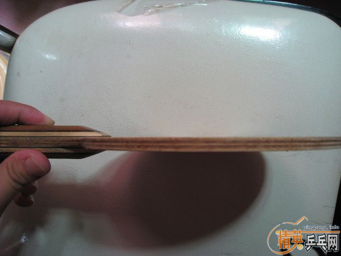 [ԭ��]��������С�����ƣ�FL����540����ݣ�