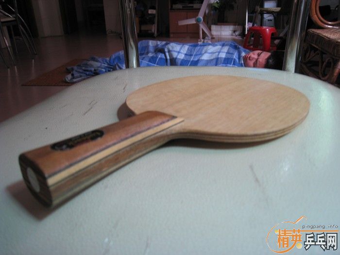 [ԭ��]��������С�����ƣ�FL����540����ݣ�