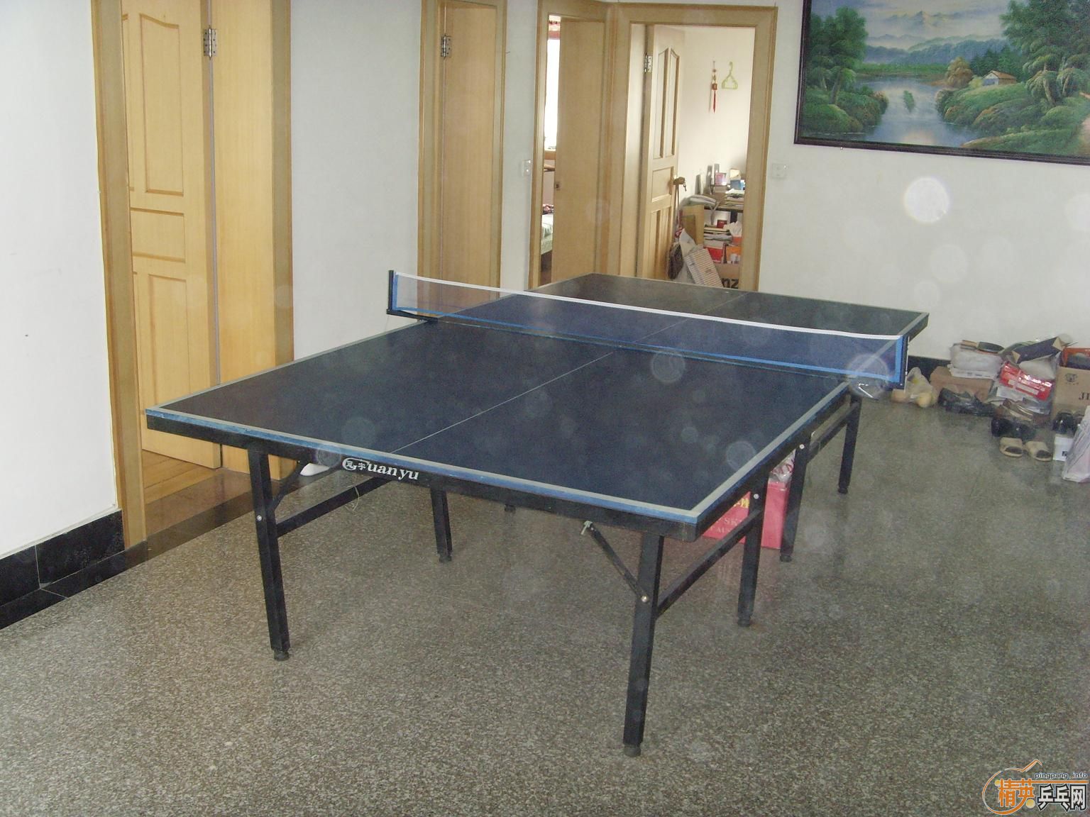 350��ƹ������