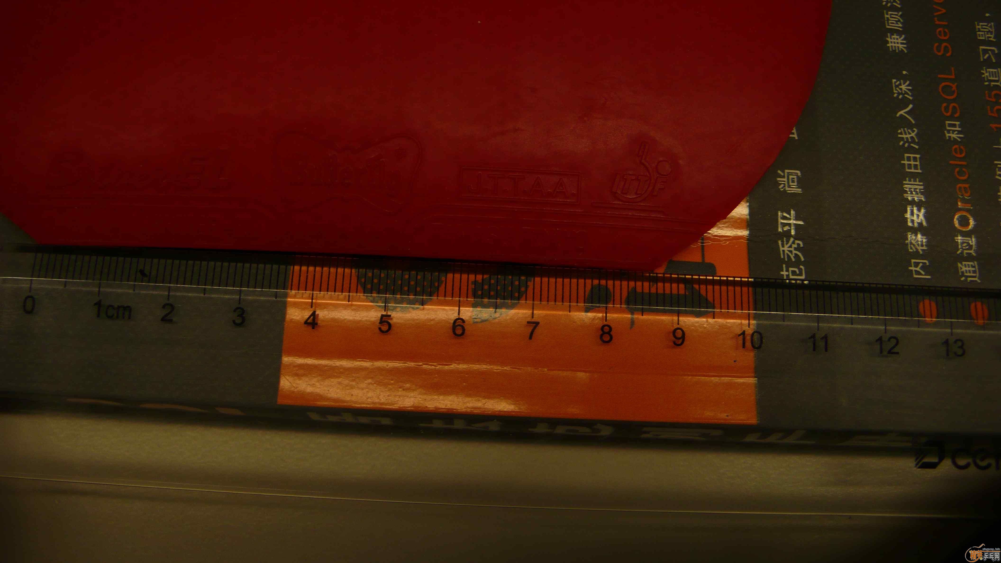 ��˫ϲ4��ֱ��ͺ���EL�׽�ת�ã�