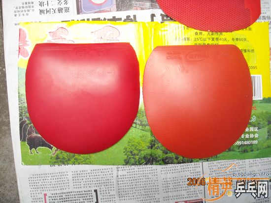 ������Ƥ������������ͦ����